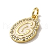 Brass Micro Pave Cubic Zirconia Pendants KK-K354-02G-G-2