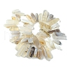 Natural Grey Agate Beads Strands G-G117-C06-01-3