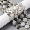 Natural Labradorite Beads Strands G-P570-E18-02-1