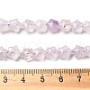 Natural Amethyst Beads Strands G-Z080-A24-8mm-5