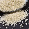 MIYUKI Delica Beads SEED-X0054-DB0762-1