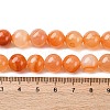 Natural Red Agate Beads Strands G-R015-B02-10mm-5