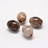 Natural Petrified Wood Beads G-P076-34A-1