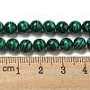 Synthetic Malachite Beads Strands G-B071-F01-02-4