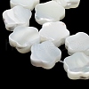 Natural Trochus Shell Beads Strands X-BSHE-P033-07-4
