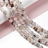Natural Dendritic Agate Beads Strands G-C011-01B-2