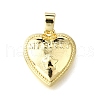 Brass Pendants KK-V007-011G-06-1
