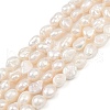 Natural Cultured Freshwater Pearl Beads Strands PEAR-P064-20H-01A-2