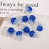 Transparent Resin Pendants CRES-D306-10G-B-1