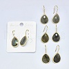 Natural Gemstone Dangle Earrings EJEW-L228-01-2