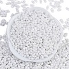 Baking Paint Glass Seed Beads SEED-K010-A03-3