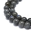 Natural Larvikite Beads Strands G-O201A-07B-3