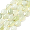 Natural New Jade Beads Strands G-H005-A12-02-2
