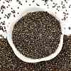 Electroplate Glass Seed Beads SEED-H003-10G-3