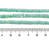 Natural Freshwater Shell Beads Strands SHEL-P017-01B-08-4