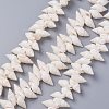 Natural Spiral Shell Beads Strands X-BSHE-I016-07-1