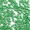 Baking Paint Glass Seed Beads X1-SEED-A033-05Q-3