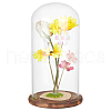 Glass Dome Cover AJEW-WH0515-25-7