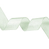 Polyester Organza Ribbon TAC0006-01C-2