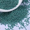 MIYUKI Round Rocailles Beads SEED-G007-RR1075-1