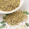 MIYUKI Delica Beads SEED-J020-DB0034-1