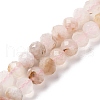 Natural Cherry Blossom Agate Beads Strands G-K380-A43-01-2