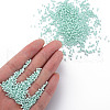 13/0 Glass Seed Beads SEED-T005-14A-A19-5