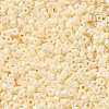 Cylinder Seed Beads SEED-H001-H23-2
