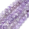 Natural Amethyst Beads Strands G-M445-8MM-01C-2