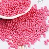 Baking Paint Glass Seed Beads X1-SEED-A033-05L-1