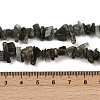 Natural Green Rutilated Quartz Beads Strands G-Q060-C03-5