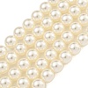Glass Pearl Beads Strands X-HY-G002-01D-02-1