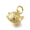 Brass Charms ZIRC-I070-086G-2