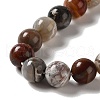 Natural Mexican Lace Agate Beads Strands G-E578-02A-3