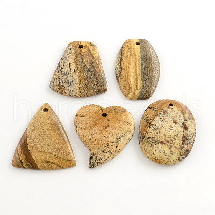 Picture Jasper Gemstone Pendants G-R270-10-1