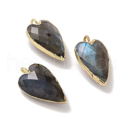 Natural Labradorite Pendants G-G012-11G-06-1