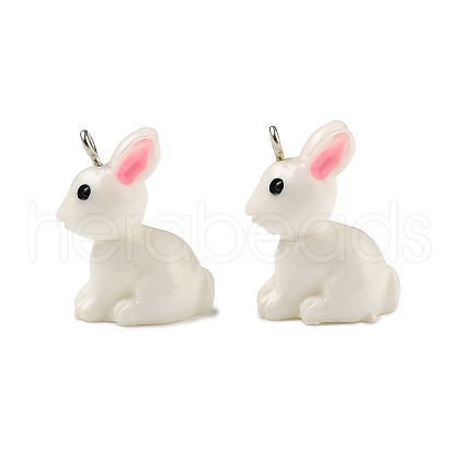 Resin Pendants RESI-S356-53-1