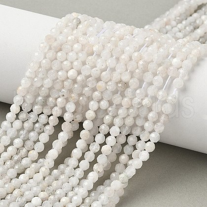 Natural Rainbow Moonstone Beads Strands G-C201-B06-4mm-1