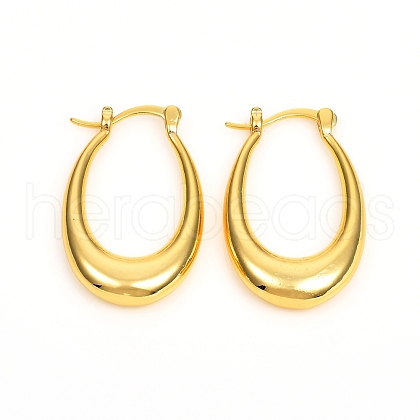 Brass Hoop Earrings EJEW-F250-02-G-1