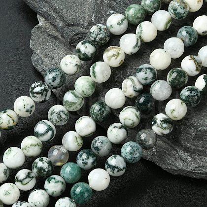 Natural Tree Agate Beads Strands X-G-K194-8mm-02-1