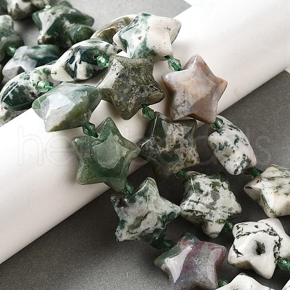 Natural Tree Agate Beads Strands G-U023-C01-08-1