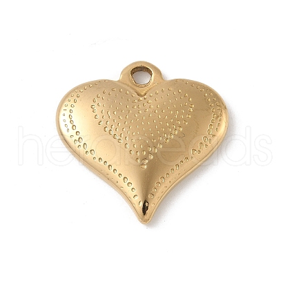 304 Stainless Steel Pendants STAS-P388-15G-1
