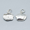 925 Sterling Silver Charms STER-T002-62S-2
