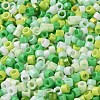 Baking Paint Glass Seed Beads SEED-S042-05A-10-3