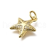 Brass Micro Pave Cubic Zirconia Charms KK-C090-25G-2