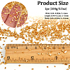 Gorgecraft 2 Bags Electroplated Glass Beads GLAA-GF0001-17C-2