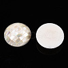 Natural White Shell Beads SHEL-F007-16B-2