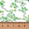 Baking Paint Glass Seed Beads SEED-C003-01E-4