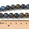 Natural Turquoise Beads Strands G-P574-A04-10mm-5