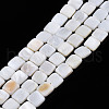 Natural Freshwater Shell Beads Strands SHEL-N026-209-1